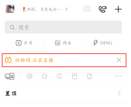 钉钉网页版直播观看指南
