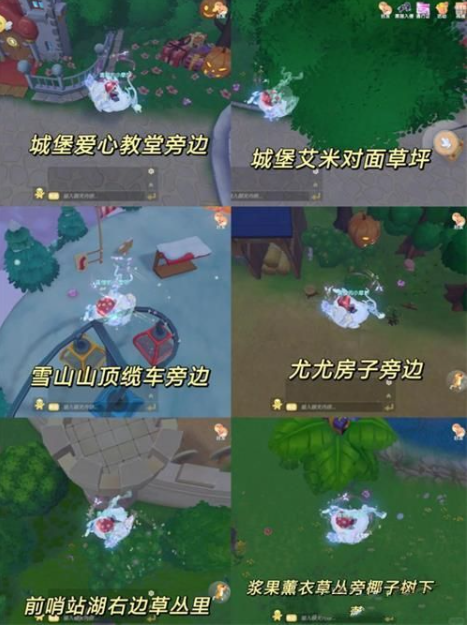 10月26日黑猫脚印位置示意图