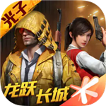 和平精英刺激战场国际服轻量版