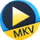 Aiseesoft免费MKV播放器新版发布v6.6.10