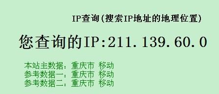 IP查询结果展示界面